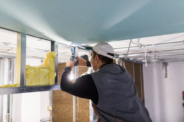Best Commercial Insulation in Sonora, CA